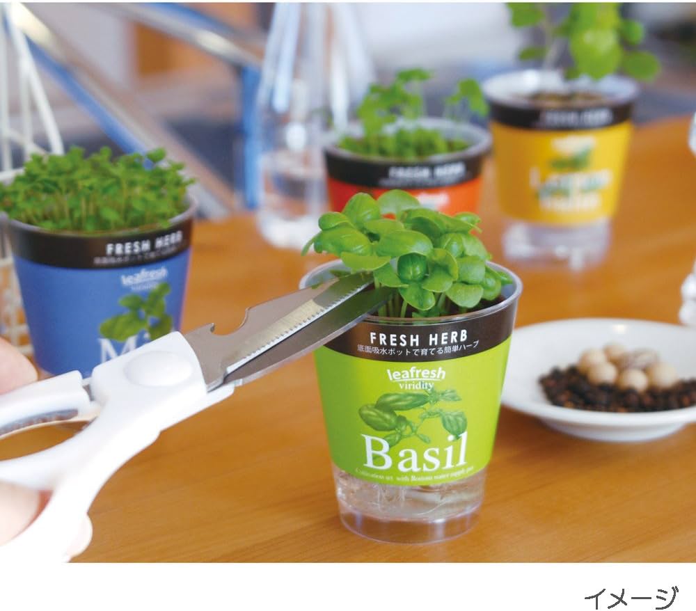 61EfC4D+EIL._AC_UF1000,